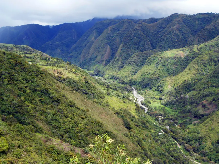 エクアドル・インタグ地方の山あいに広がる産地の風景